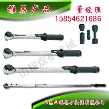 点击查看详细信息<br>标题：显示扭力扳手 阅读次数：1549