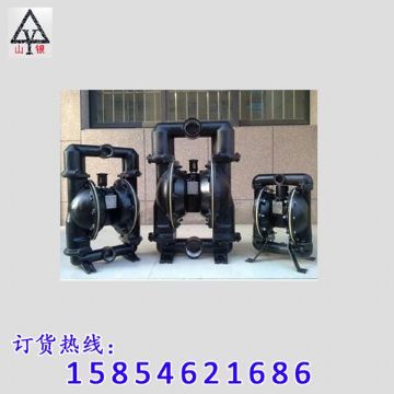 点击查看详细信息<br>标题：气动隔膜泵 阅读次数：1356
