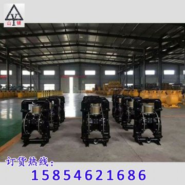 点击查看详细信息<br>标题：隔膜泵_气动隔膜泵_隔膜泵价格_隔膜泵 阅读次数：1726