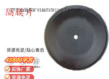 点击查看详细信息<br>标题：气动隔膜泵配件-隔膜片 阅读次数：170